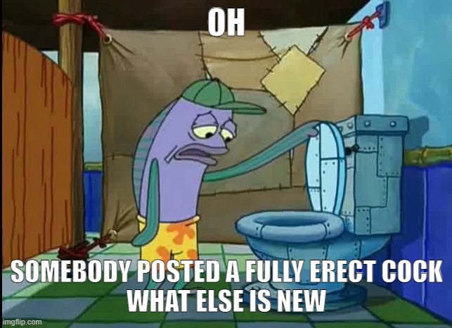 not surprising tbh | OH; SOMEBODY POSTED A FULLY ERECT COCK
WHAT ELSE IS NEW | image tagged in oh thats a toilet spongebob fish | made w/ Imgflip meme maker