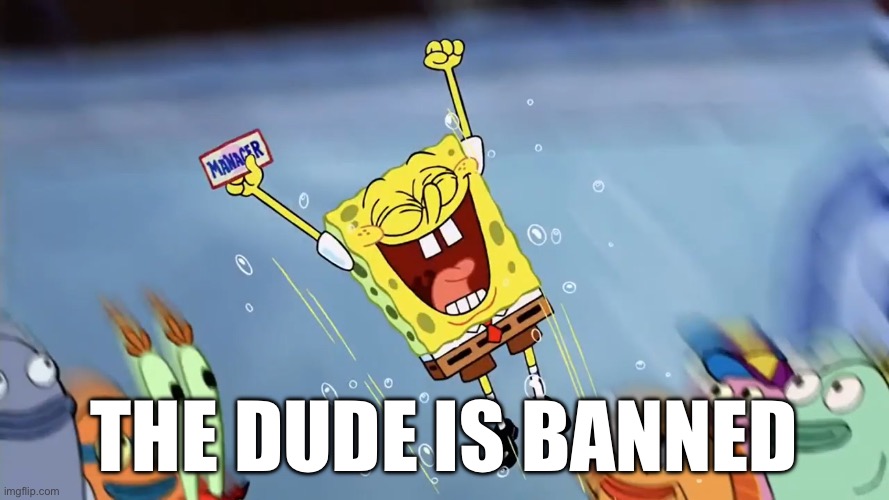 Spongebob Jumping | THE DUDE IS BANNED | image tagged in spongebob jumping | made w/ Imgflip meme maker