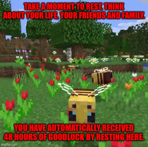 Minecraft bees | TAKE A MOMENT TO REST, THINK ABOUT YOUR LIFE, YOUR FRIENDS AND FAMILY. YOU HAVE AUTOMATICALLY RECEIVED 48 HOURS OF GOODLUCK BY RESTING HERE. | image tagged in minecraft bees | made w/ Imgflip meme maker