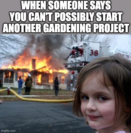 Disaster garden | WHEN SOMEONE SAYS YOU CAN'T POSSIBLY START ANOTHER GARDENING PROJECT | image tagged in memes,disaster girl | made w/ Imgflip meme maker