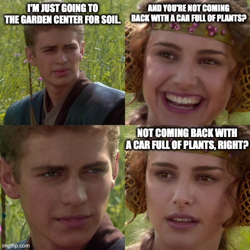 Anakin Padme 4 Panel | AND YOU'RE NOT COMING BACK WITH A CAR FULL OF PLANTS? I'M JUST GOING TO THE GARDEN CENTER FOR SOIL. NOT COMING BACK WITH A CAR FULL OF PLANTS, RIGHT? | image tagged in anakin padme 4 panel | made w/ Imgflip meme maker