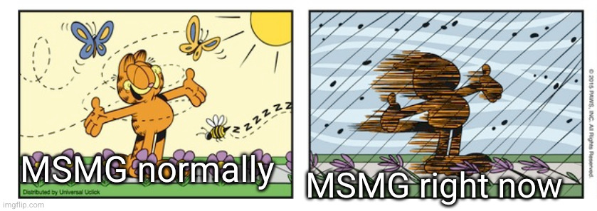 garfield expectation reality | MSMG normally; MSMG right now | image tagged in garfield expectation reality | made w/ Imgflip meme maker