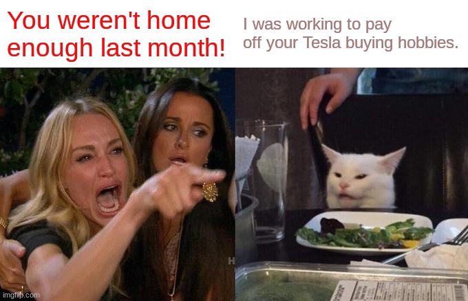 Smudge the Cat Meme | You weren't home enough last month! I was working to pay off your Tesla buying hobbies. | image tagged in memes,woman yelling at cat | made w/ Imgflip meme maker