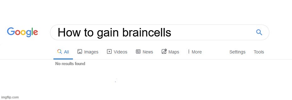 Did you mean? | How to gain braincells; No results found | image tagged in google no results | made w/ Imgflip meme maker