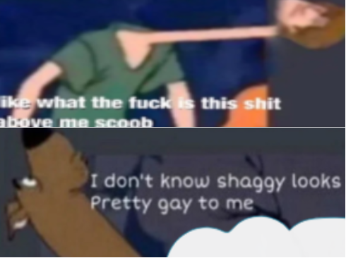 What the f8ck is this sh8t above me scoob Blank Meme Template