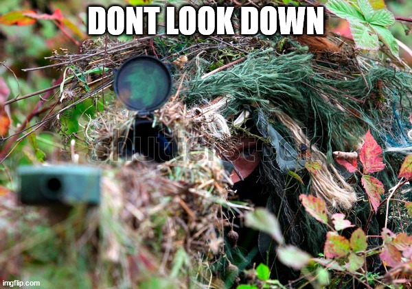 sniper | DONT LOOK DOWN | image tagged in sniper | made w/ Imgflip meme maker