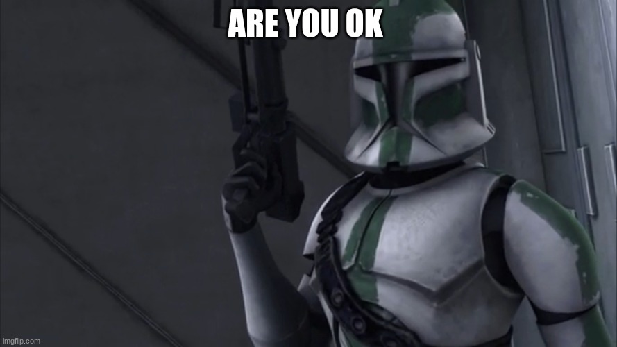 41st elite corps clone trooper | ARE YOU OK | image tagged in 41st elite corps clone trooper | made w/ Imgflip meme maker