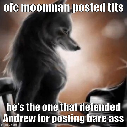 anthro wolf piano | ofc moonman posted tits; he's the one that defended Andrew for posting bare ass | image tagged in anthro wolf piano | made w/ Imgflip meme maker