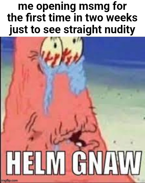 Helm Gnaw | me opening msmg for the first time in two weeks just to see straight nudity | image tagged in helm gnaw | made w/ Imgflip meme maker