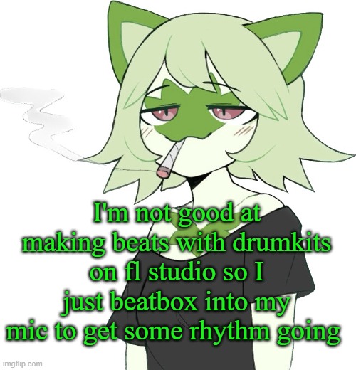 weed cat | I'm not good at making beats with drumkits on fl studio so I just beatbox into my mic to get some rhythm going | image tagged in weed cat | made w/ Imgflip meme maker