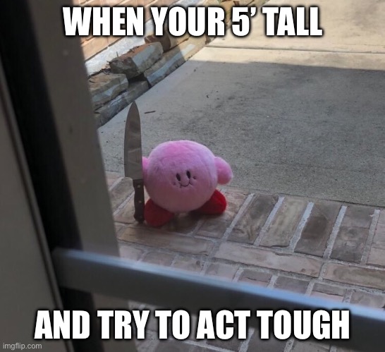 Kirby With A Knife | WHEN YOUR 5’ TALL AND TRY TO ACT TOUGH | image tagged in kirby with a knife | made w/ Imgflip meme maker