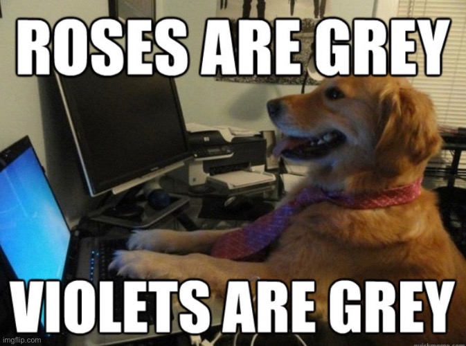loooollll | image tagged in funny,dog,valentine's day,poem | made w/ Imgflip meme maker
