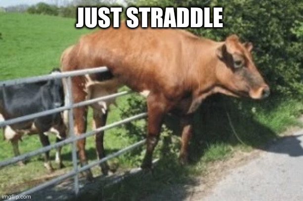 Straddling the fence | JUST STRADDLE | image tagged in straddling the fence | made w/ Imgflip meme maker