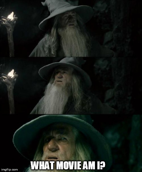 Confused Gandalf | WHAT MOVIE AM I? | image tagged in memes,confused gandalf | made w/ Imgflip meme maker
