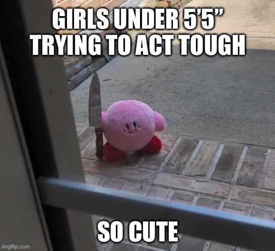 Tough little girl | GIRLS UNDER 5’5” TRYING TO ACT TOUGH; SO CUTE | image tagged in kirby with a knife,tough,short,cute girl | made w/ Imgflip meme maker