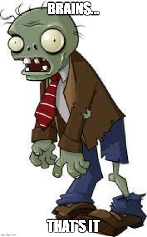 PvZ zombie | BRAINS... THAT'S IT | image tagged in pvz zombie | made w/ Imgflip meme maker