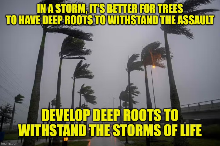 Hurricane winds | IN A STORM, IT'S BETTER FOR TREES TO HAVE DEEP ROOTS TO WITHSTAND THE ASSAULT; DEVELOP DEEP ROOTS TO WITHSTAND THE STORMS OF LIFE | image tagged in hurricane winds | made w/ Imgflip meme maker