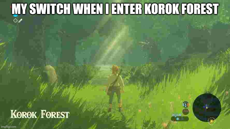 It really is like that. | MY SWITCH WHEN I ENTER KOROK FOREST | image tagged in memes,zelda | made w/ Imgflip meme maker