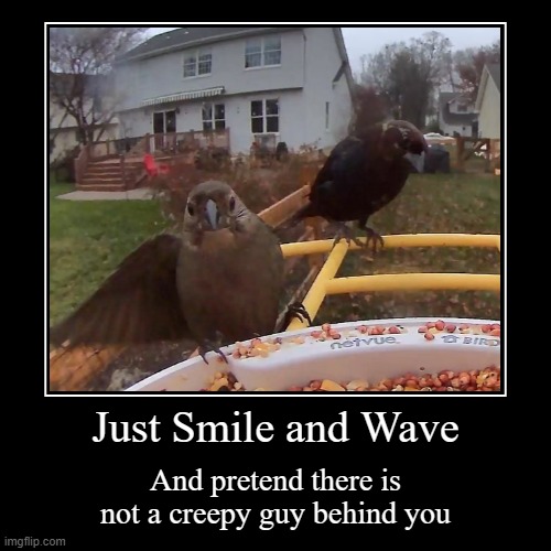 Smile And Wave | Just Smile and Wave | And pretend there is not a creepy guy behind you | image tagged in funny,demotivationals,bird,wave,creep | made w/ Imgflip demotivational maker
