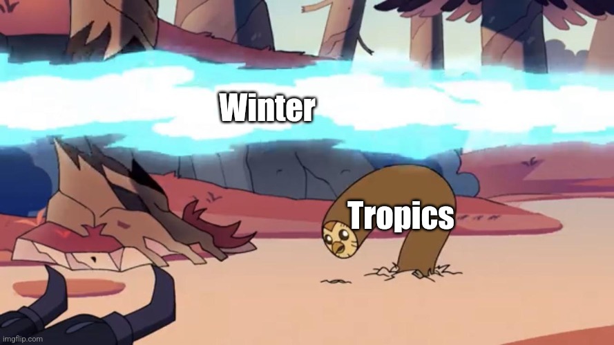 No winter for the south | Winter; Tropics | image tagged in dodging hooty the owl house,jpfan102504 | made w/ Imgflip meme maker