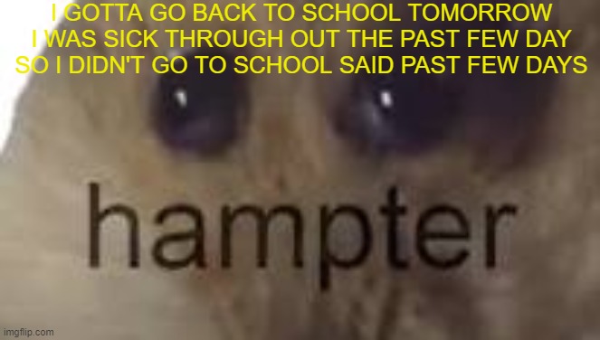 Hampter | I GOTTA GO BACK TO SCHOOL TOMORROW
I WAS SICK THROUGH OUT THE PAST FEW DAY SO I DIDN'T GO TO SCHOOL SAID PAST FEW DAYS | image tagged in hampter | made w/ Imgflip meme maker