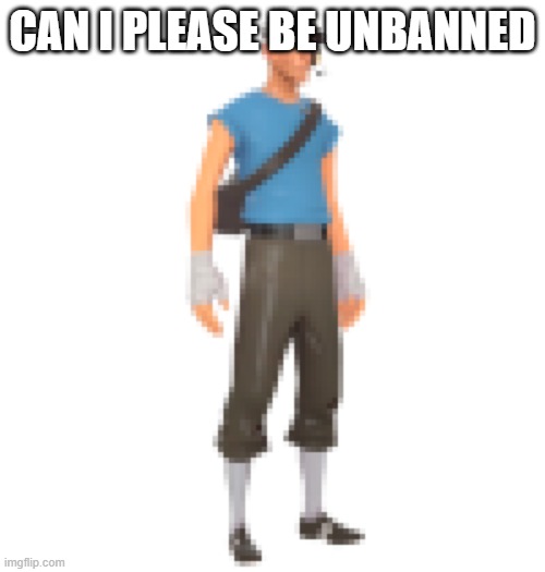 Scout Tf2 | CAN I PLEASE BE UNBANNED | image tagged in scout tf2 | made w/ Imgflip meme maker