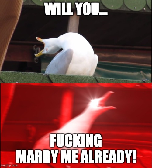 Screaming bird | WILL YOU... FUCKING MARRY ME ALREADY! | image tagged in screaming bird | made w/ Imgflip meme maker