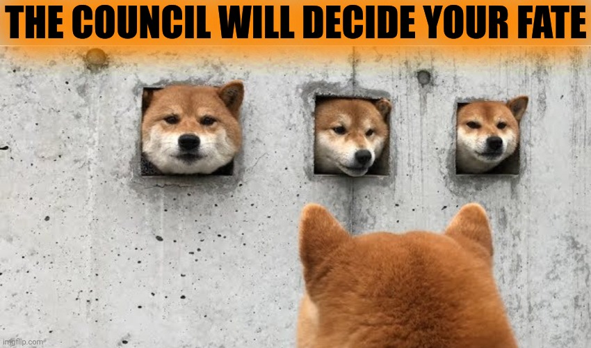 The doge council | THE COUNCIL WILL DECIDE YOUR FATE | image tagged in the doge council | made w/ Imgflip meme maker