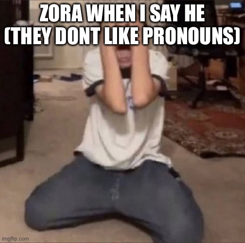 Day 3 no hating | ZORA WHEN I SAY HE (THEY DONT LIKE PRONOUNS) | image tagged in day 3 no hating | made w/ Imgflip meme maker