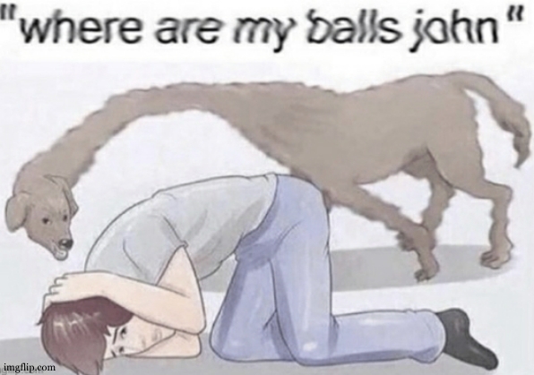 Where are my balls | image tagged in where are my balls | made w/ Imgflip meme maker