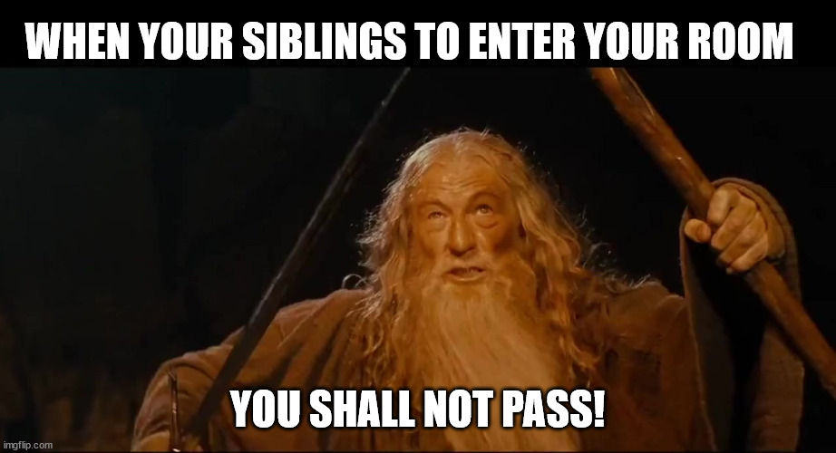 You shall not | WHEN YOUR SIBLINGS TO ENTER YOUR ROOM; YOU SHALL NOT PASS! | image tagged in you shall not,gandalf | made w/ Imgflip meme maker
