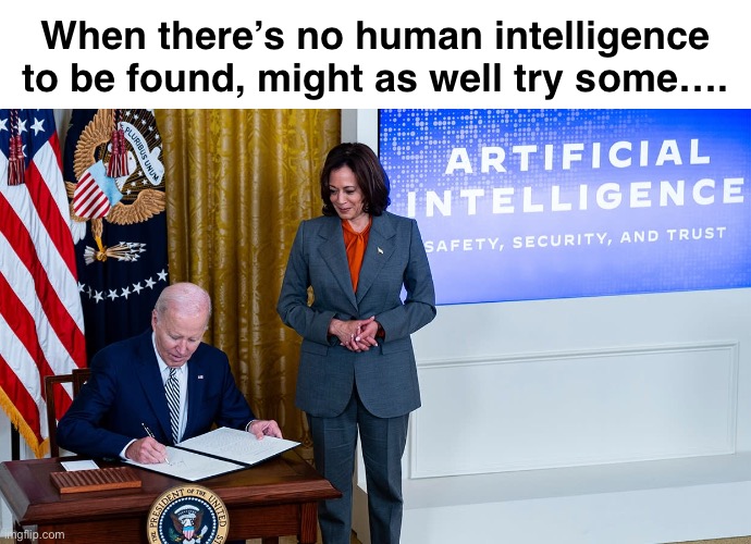Dumb and Dumber | When there’s no human intelligence to be found, might as well try some…. | image tagged in artificial intelligence | made w/ Imgflip meme maker