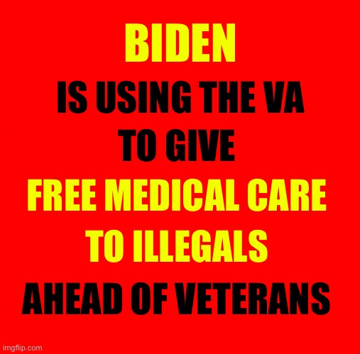 Prioritizing illegals over Veterans | BIDEN; IS USING THE VA; TO GIVE; FREE MEDICAL CARE; TO ILLEGALS; AHEAD OF VETERANS | image tagged in red square | made w/ Imgflip meme maker
