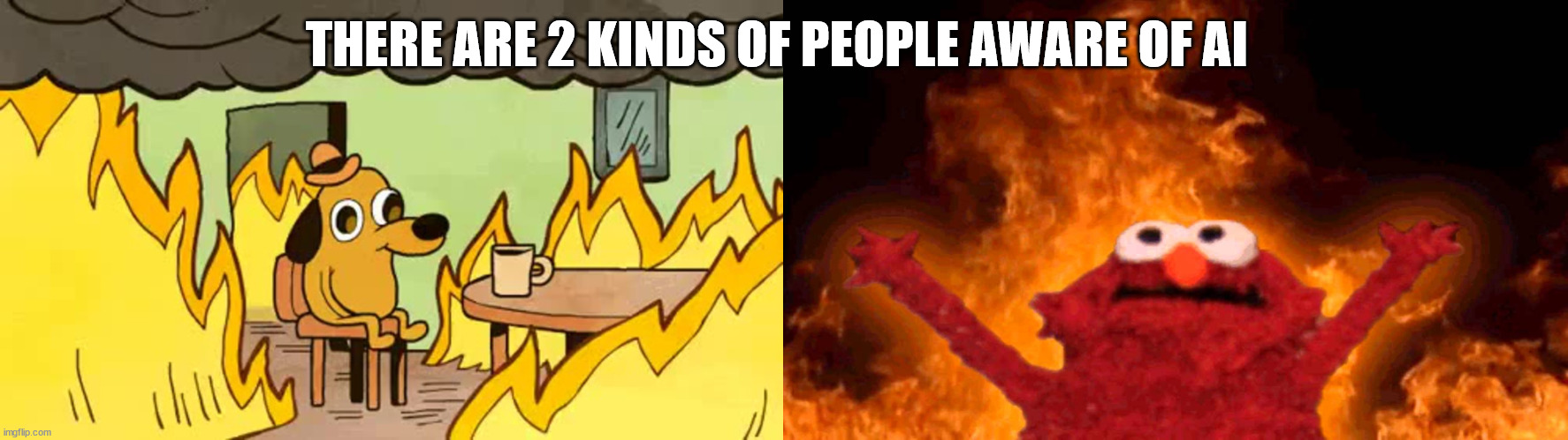 2 kinds of AI believers | THERE ARE 2 KINDS OF PEOPLE AWARE OF AI | image tagged in everythings-fine,elmo fire | made w/ Imgflip meme maker
