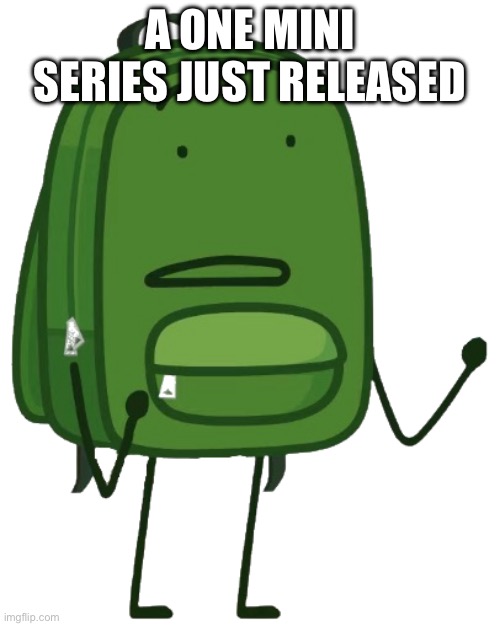 Liam Plecak | A ONE MINI SERIES JUST RELEASED | image tagged in liam plecak | made w/ Imgflip meme maker