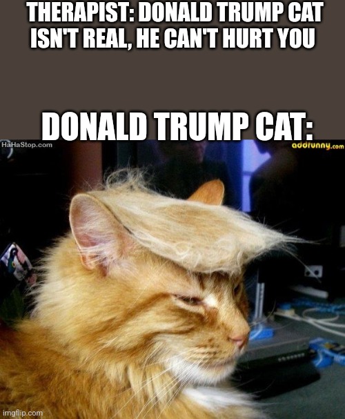 Dnld trmp | THERAPIST: DONALD TRUMP CAT ISN'T REAL, HE CAN'T HURT YOU; DONALD TRUMP CAT: | image tagged in donald trump cat | made w/ Imgflip meme maker