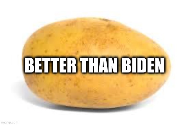 Potato | BETTER THAN BIDEN | image tagged in potato | made w/ Imgflip meme maker