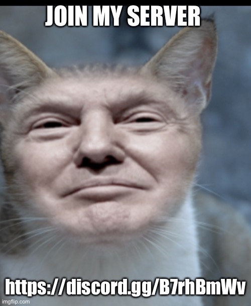 Donald trump cat | JOIN MY SERVER; https://discord.gg/B7rhBmWv | image tagged in donald trump cat | made w/ Imgflip meme maker