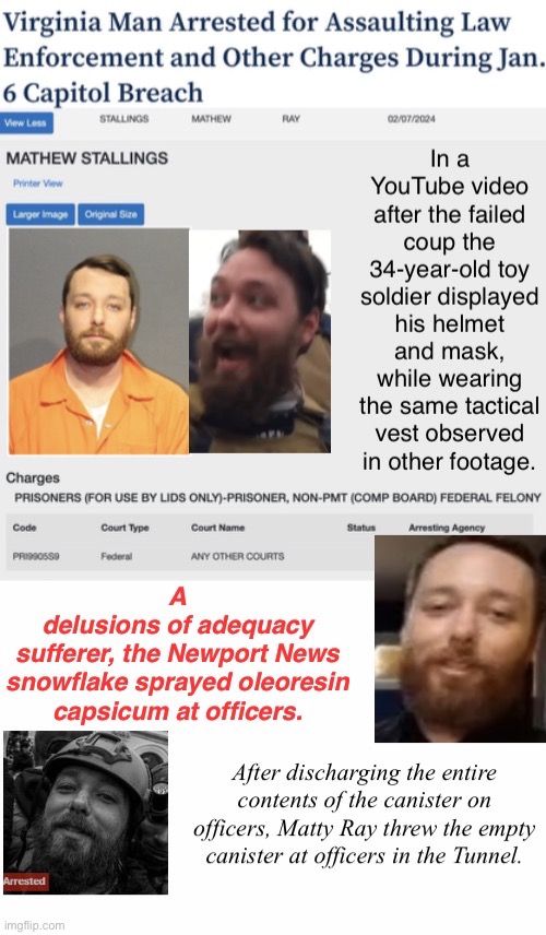 Matthew Ray, Crook and Con | image tagged in assault,domestic terrorist,treason,tuff mouse when in crowd with weapons,sheep,another losing stallings | made w/ Imgflip meme maker