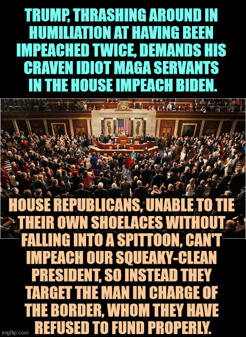 MAGA morons on parade. | TRUMP, THRASHING AROUND IN 
HUMILIATION AT HAVING BEEN 
IMPEACHED TWICE, DEMANDS HIS 
CRAVEN IDIOT MAGA SERVANTS 
IN THE HOUSE IMPEACH BIDEN. HOUSE REPUBLICANS, UNABLE TO TIE 
THEIR OWN SHOELACES WITHOUT 
FALLING INTO A SPITTOON, CAN'T 
IMPEACH OUR SQUEAKY-CLEAN 

PRESIDENT, SO INSTEAD THEY 
TARGET THE MAN IN CHARGE OF 
THE BORDER, WHOM THEY HAVE 
REFUSED TO FUND PROPERLY. | image tagged in congress,trump,impeachment,biden,clean,revenge | made w/ Imgflip meme maker