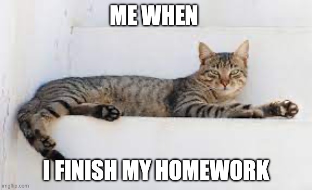 lazy cats | ME WHEN; I FINISH MY HOMEWORK | image tagged in lazy cats | made w/ Imgflip meme maker