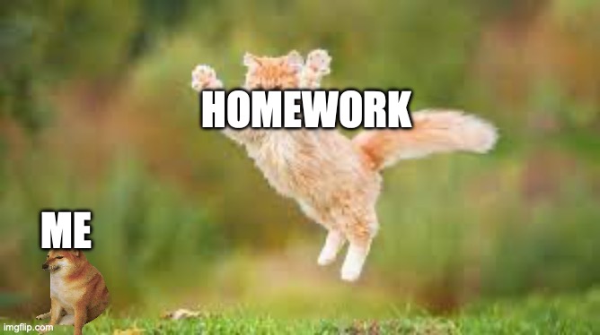 jumping cat | HOMEWORK; ME | image tagged in jumping cat | made w/ Imgflip meme maker