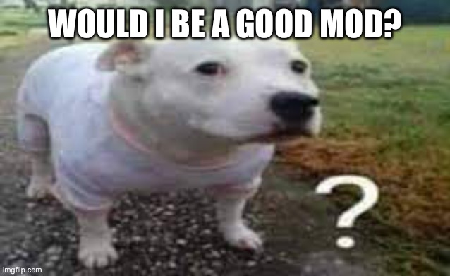 ObiWON for mod | WOULD I BE A GOOD MOD? | image tagged in dog question mark | made w/ Imgflip meme maker