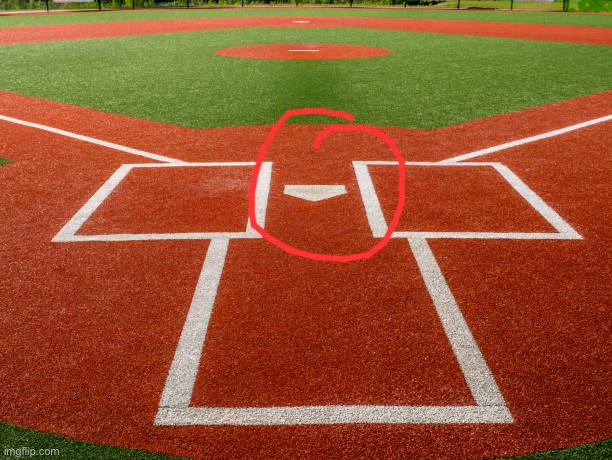 Home Plate View | image tagged in home plate view | made w/ Imgflip meme maker