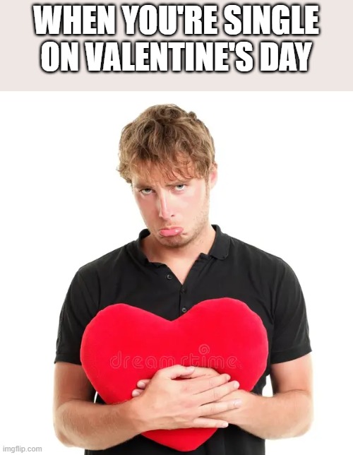 Single On Valentine's Day | WHEN YOU'RE SINGLE ON VALENTINE'S DAY | image tagged in single,single life,valentine's day,valentine,funny,memes | made w/ Imgflip meme maker