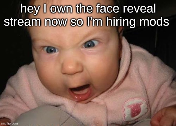 Evil Baby | hey I own the face reveal stream now so I'm hiring mods | image tagged in memes,evil baby | made w/ Imgflip meme maker