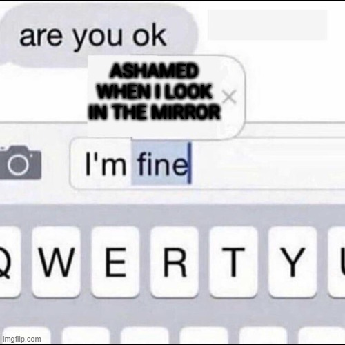 I'm fine. He is not. | ASHAMED WHEN I LOOK IN THE MIRROR | image tagged in im fine | made w/ Imgflip meme maker