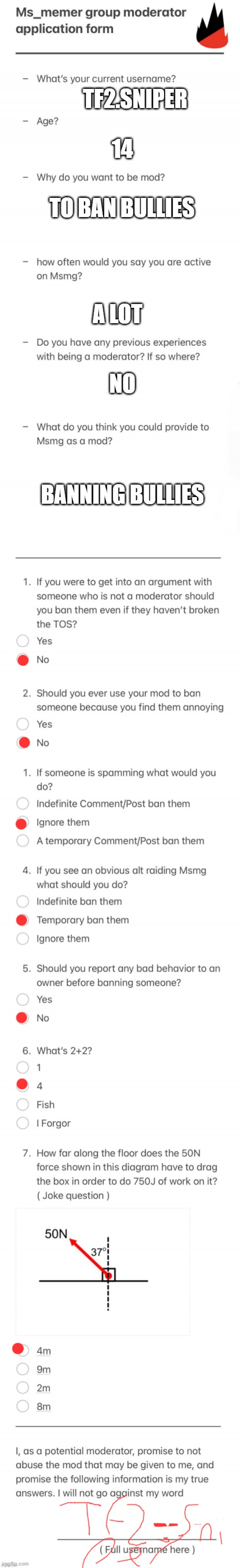 UPDATED MSMG MOD FORM | TF2.SNIPER; 14; TO BAN BULLIES; A LOT; NO; BANNING BULLIES | image tagged in updated msmg mod form | made w/ Imgflip meme maker