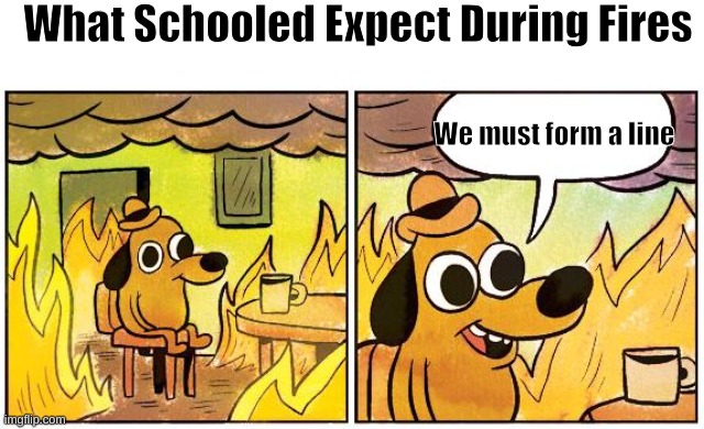 Fr | What Schooled Expect During Fires; We must form a line | image tagged in this is fine blank,school,annoying,relatable | made w/ Imgflip meme maker