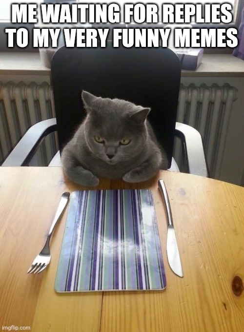 Catsit | ME WAITING FOR REPLIES TO MY VERY FUNNY MEMES | image tagged in catsit | made w/ Imgflip meme maker